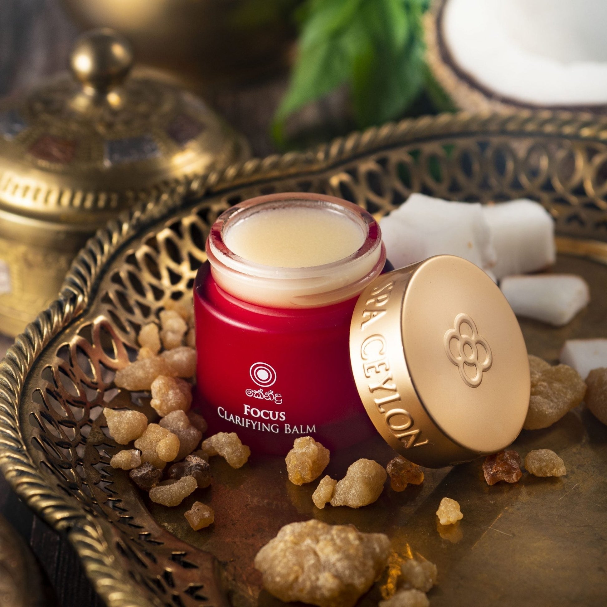 Focus - Clarifying Balm 25g - Spa Ceylon UK