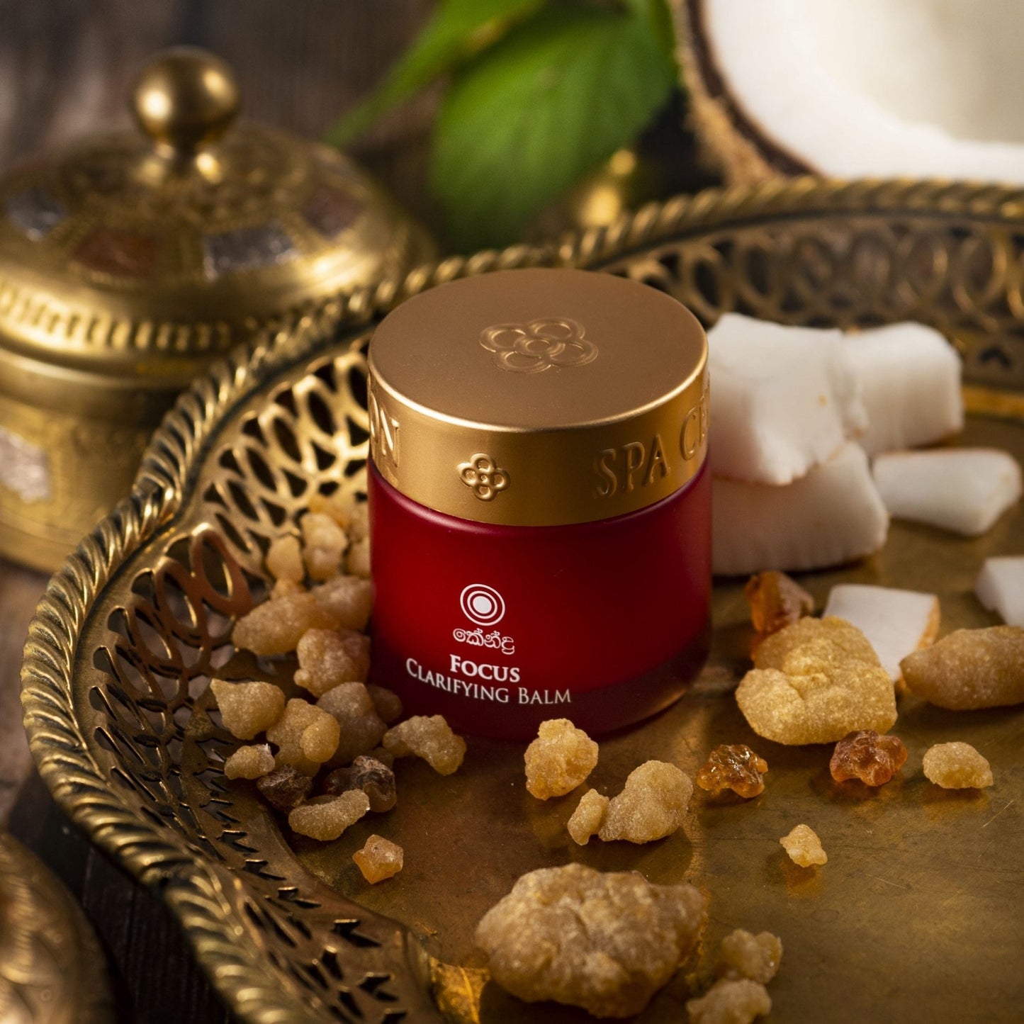 Focus - Clarifying Balm 25g - Spa Ceylon UK