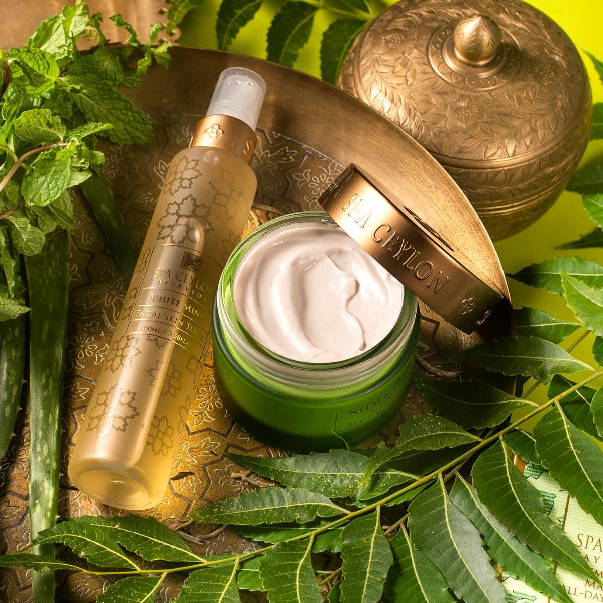 Neem & Tea Tree - Mattifying All - Day Protector SPF 5+ 100g - Spa Ceylon UK